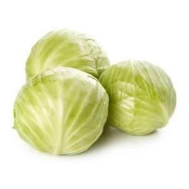 White Cabbage, 1.2 - 1.5 Kg (From UAE)